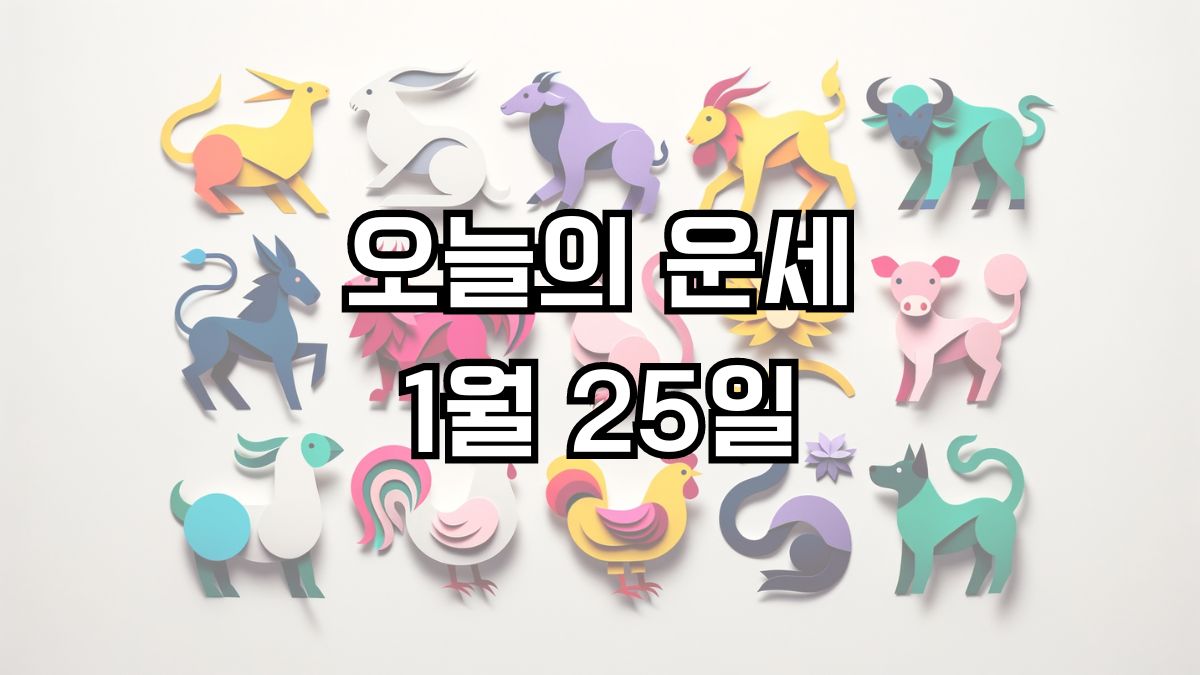 오늘의 운세 1월 25일