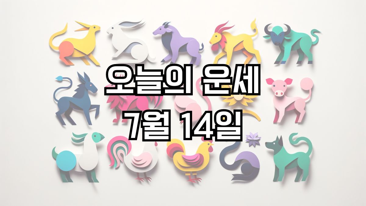 오늘의 운세 7월 14일