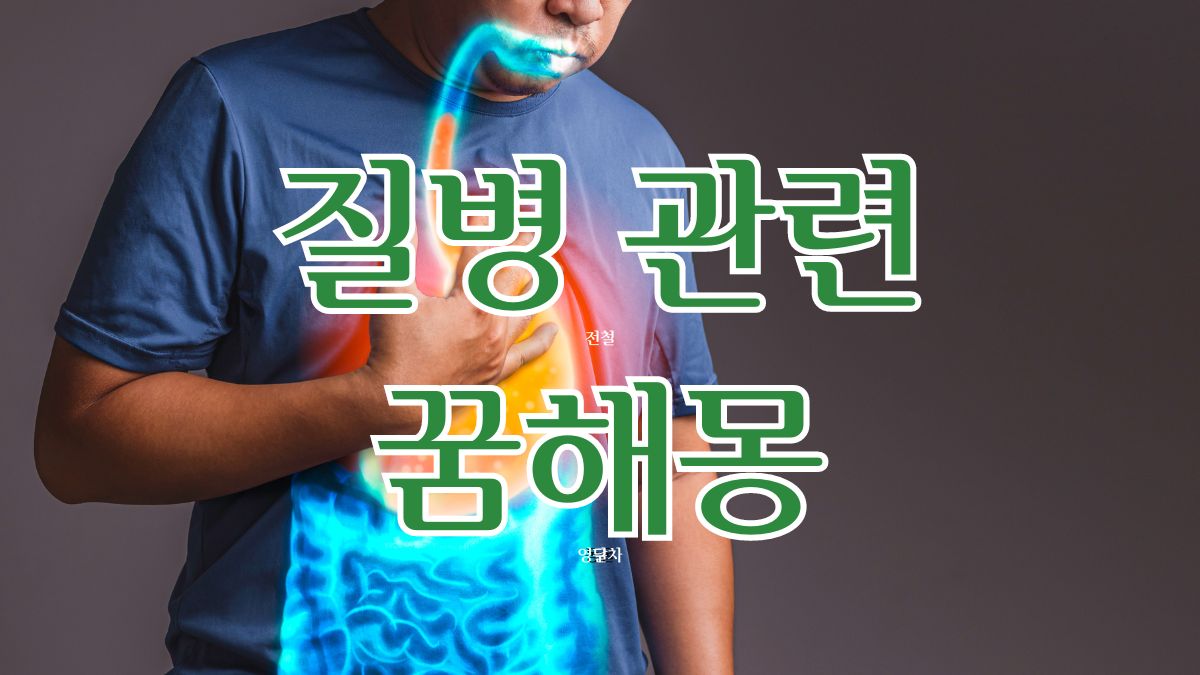 질병 관련 꿈해몽