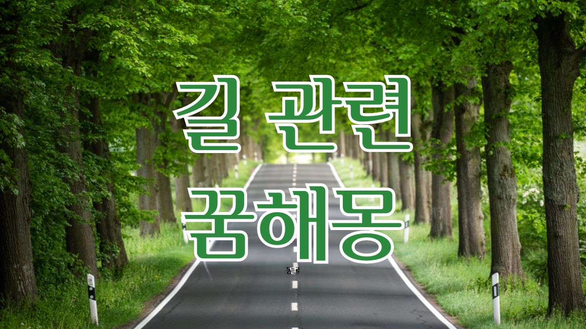 길 관련 꿈해몽