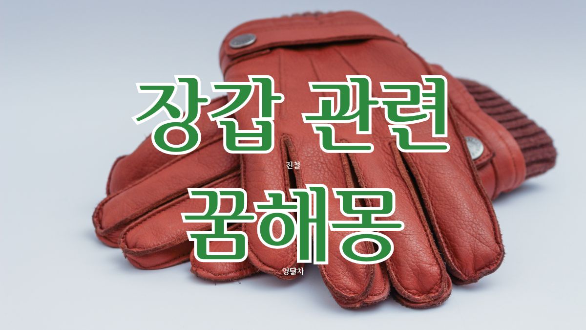 장갑 관련 꿈해몽