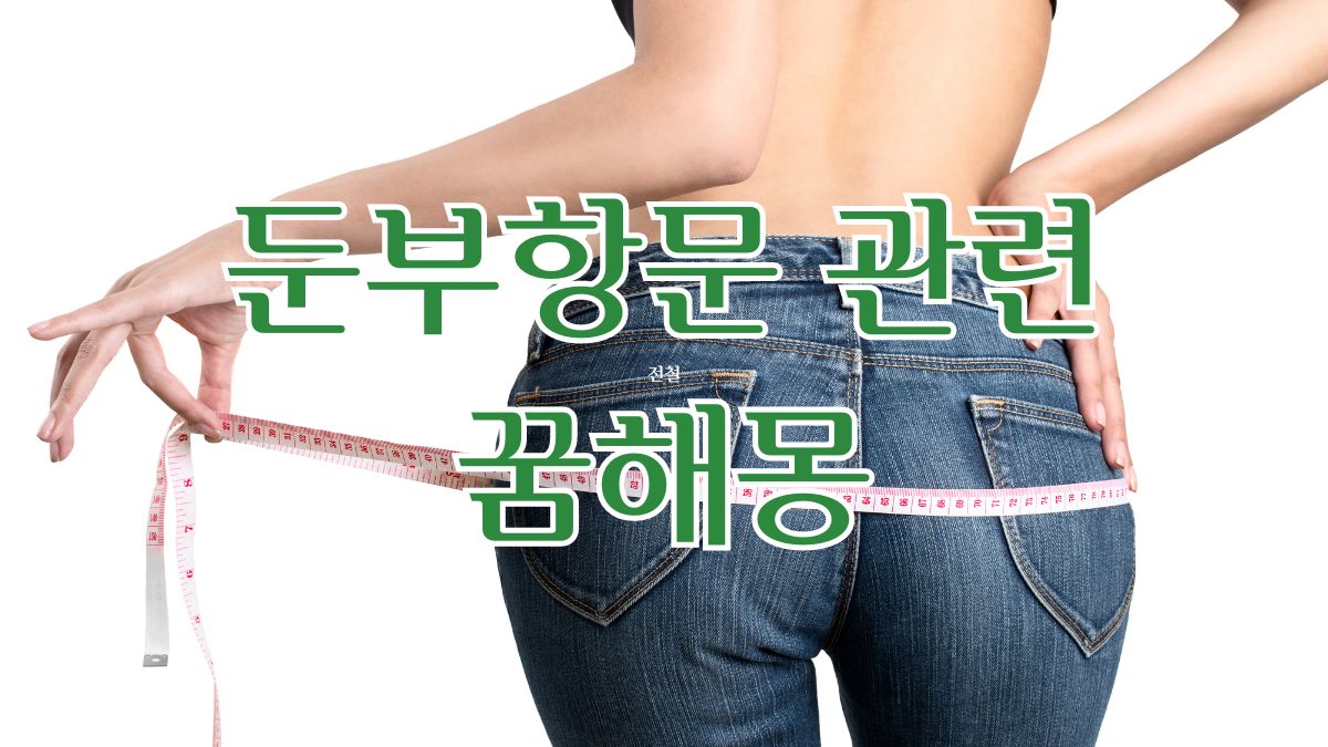 둔부항문 관련 꿈해몽