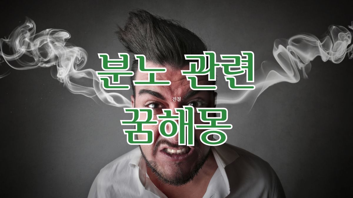 분노관련 꿈해몽