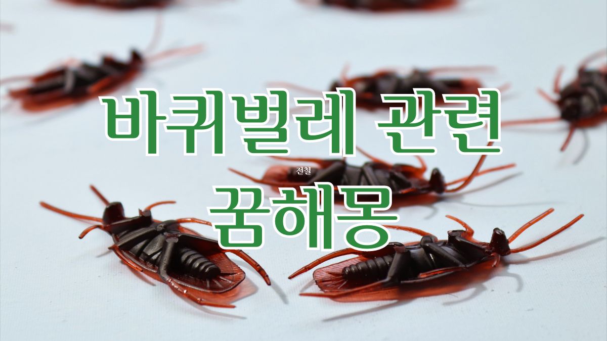 바퀴벌레 관련 꿈해몽