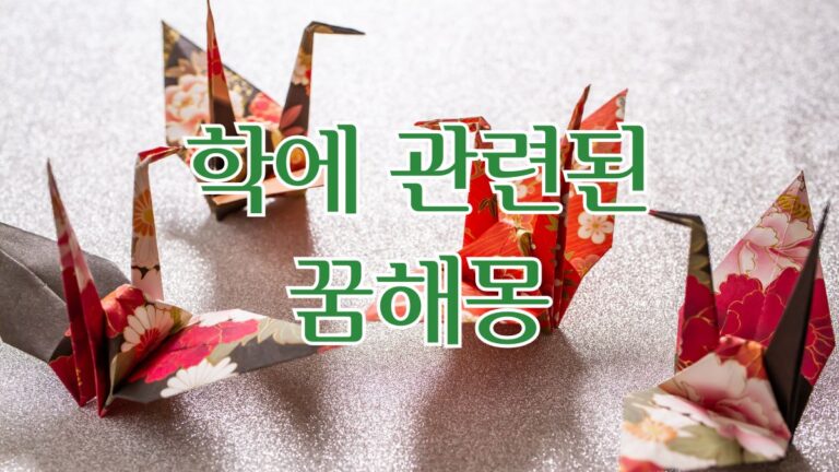 학에 관련된 꿈해몽