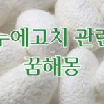 누에고치 관련 꿈해몽