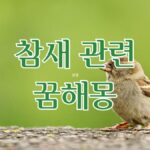 참새 관련 꿈해몽