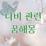 나비 관련 꿈해몽