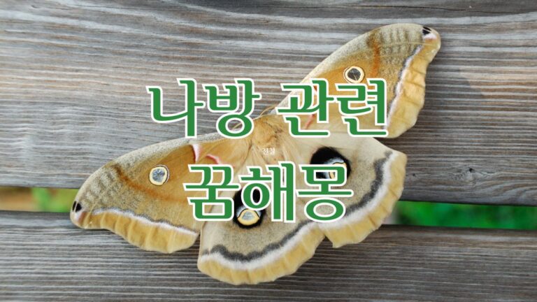 나방 관련 꿈해몽