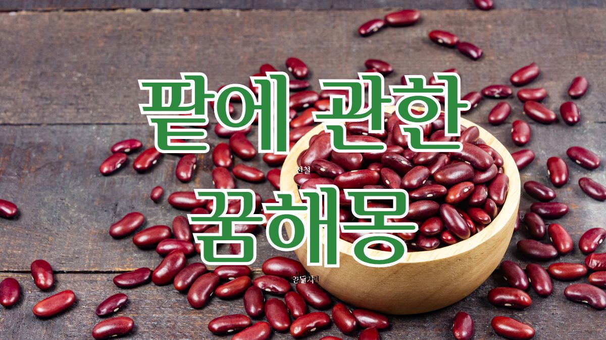 팥에 관한 꿈해몽