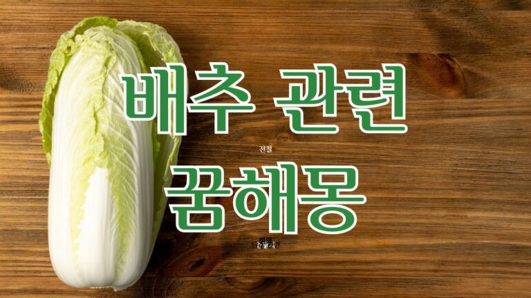 배추 관련 꿈해몽