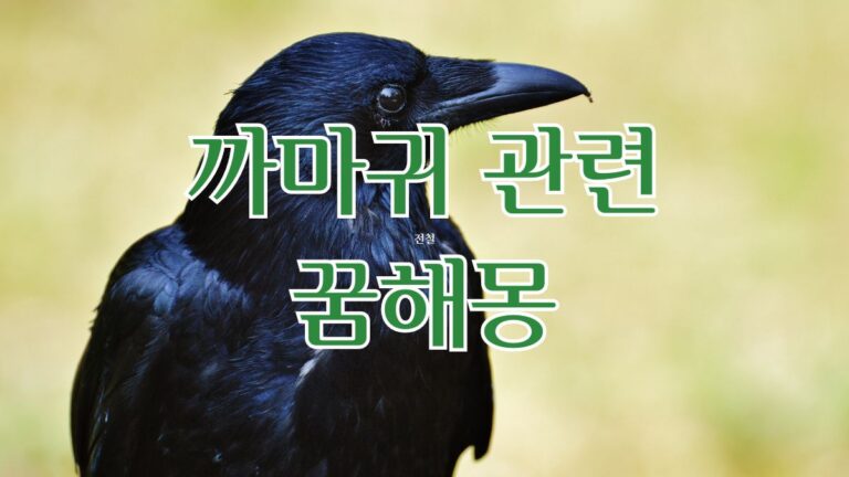 까마귀 관련 꿈해몽