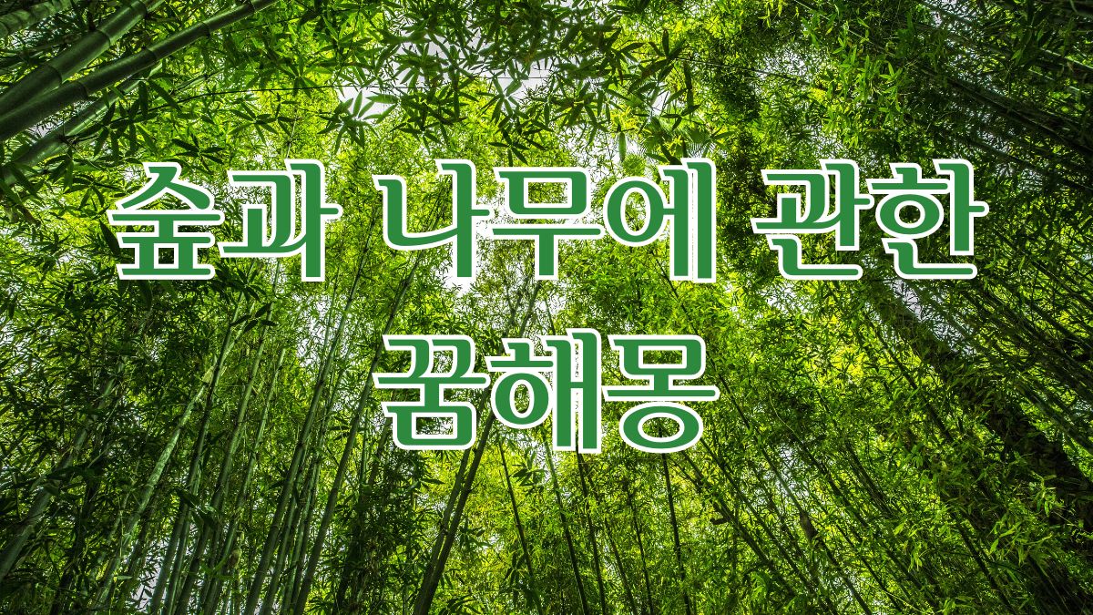 숲과 나무에 관한 꿈해몽