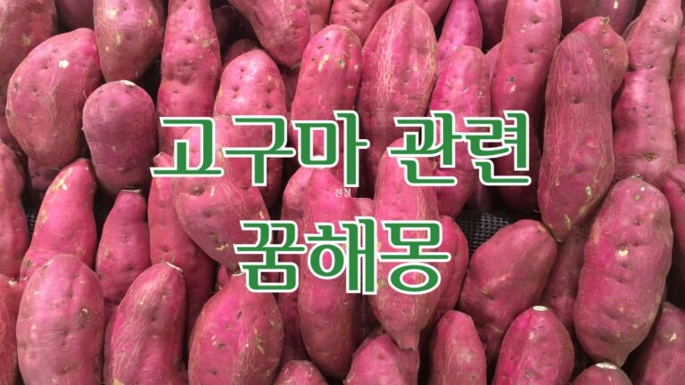 고구마 관련 꿈해몽