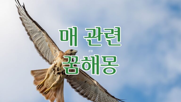 매 관련 꿈해몽