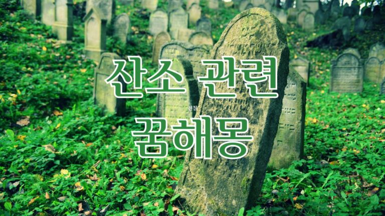 산소 관련 꿈해몽