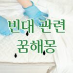 빈대 관련 꿈해몽