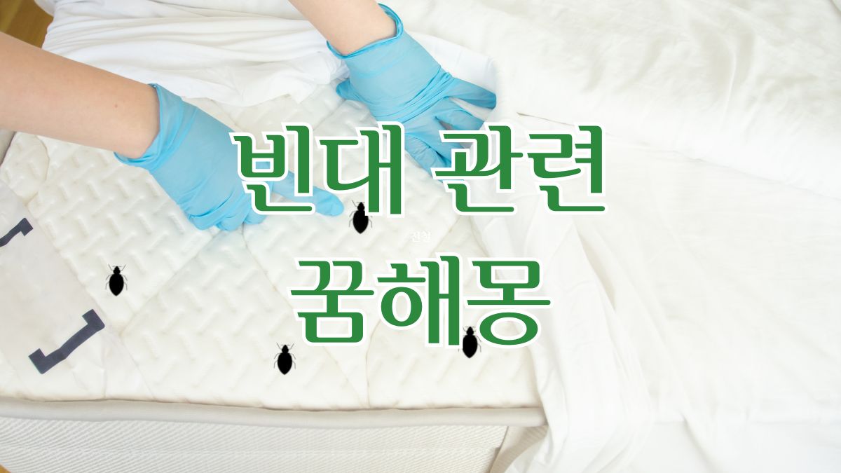 빈대 관련 꿈해몽