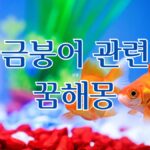 금붕어 관련 꿈해몽