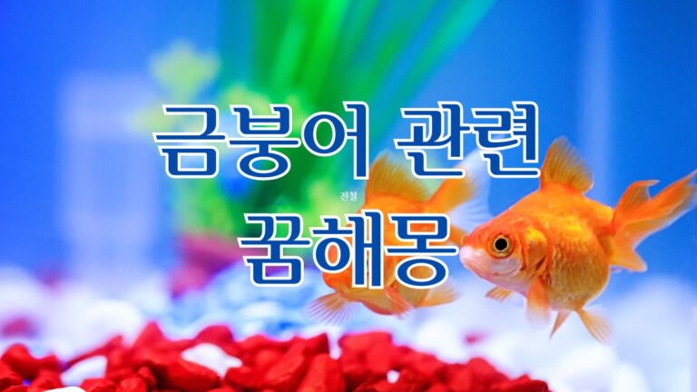 금붕어 관련 꿈해몽