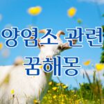 양염소 관련 꿈해몽