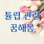 튤립 관련 꿈해몽