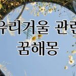 유리거울 관련 꿈해몽