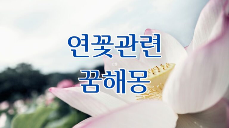 연꽃 관련 꿈해몽