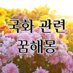 국화 관련 꿈해몽