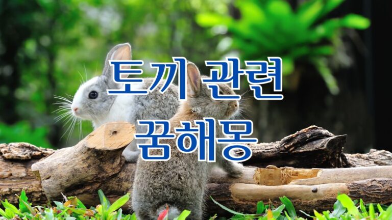 토끼 관련 꿈해몽