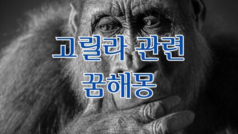 고릴라 관련 꿈해몽