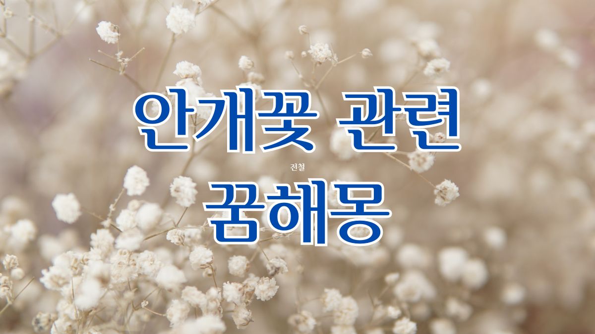 안개꽃 관련 꿈해몽