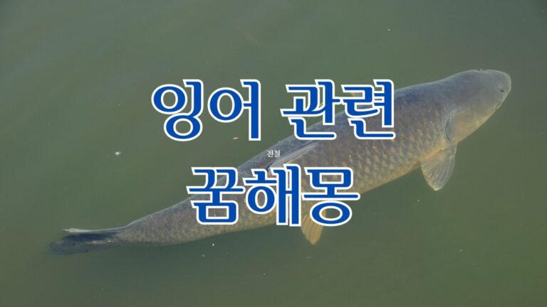 잉어 관련 꿈해몽