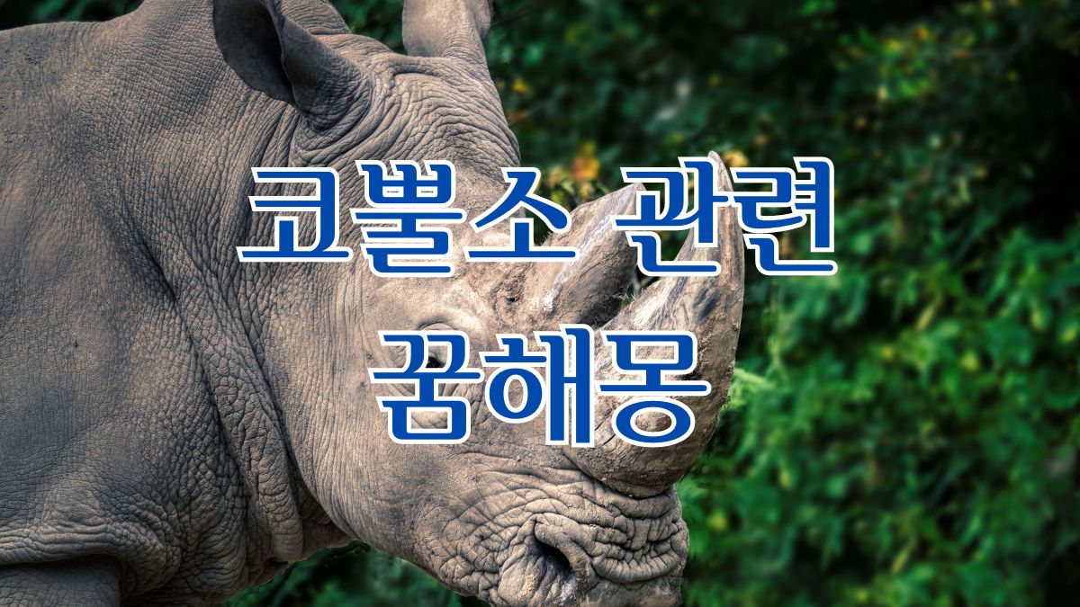 코뿔소 관련 꿈해몽