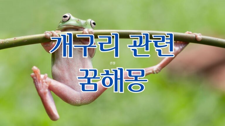 개구리 관련 꿈해몽