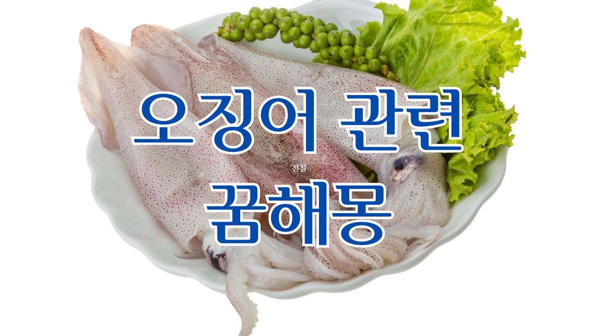 오징어 관련 꿈해몽