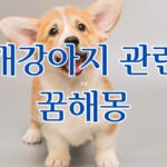 개강아지 관련 꿈해몽