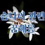 솜다리 관련 꿈해몽