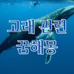 고래 관련 꿈해몽