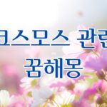 코스모스 관련 꿈해몽