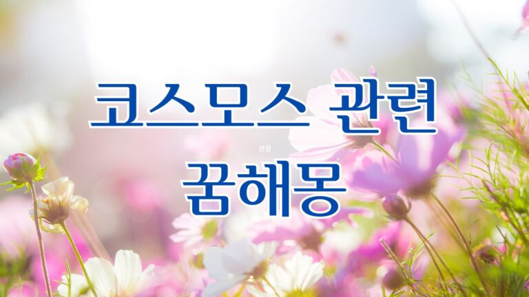 코스모스 관련 꿈해몽