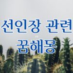 선인장 관련 꿈해몽