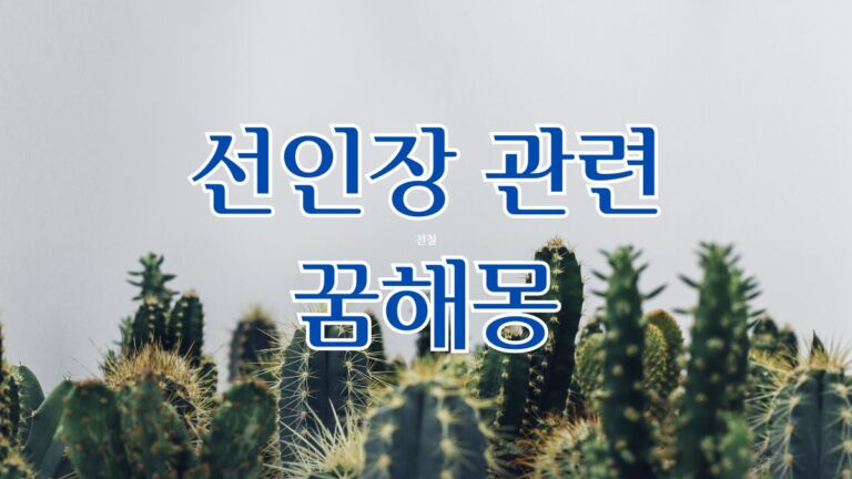 선인장 관련 꿈해몽