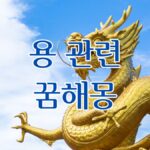 용 관련 꿈해몽