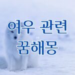 여우 관련 꿈해몽