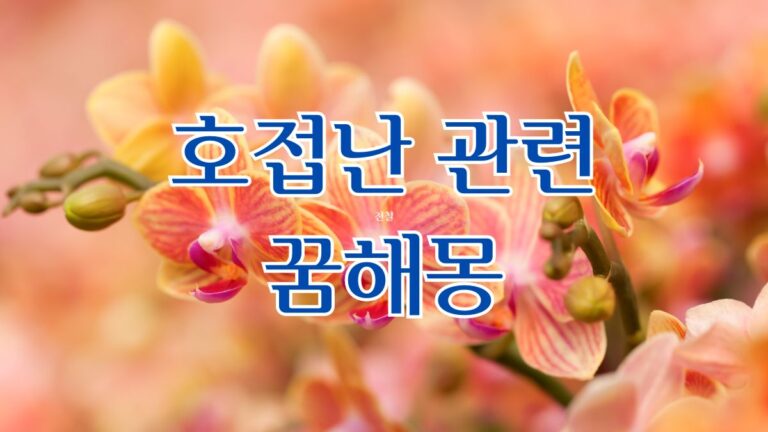 호접난 관련 꿈해몽