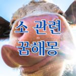 소 관련 꿈해몽