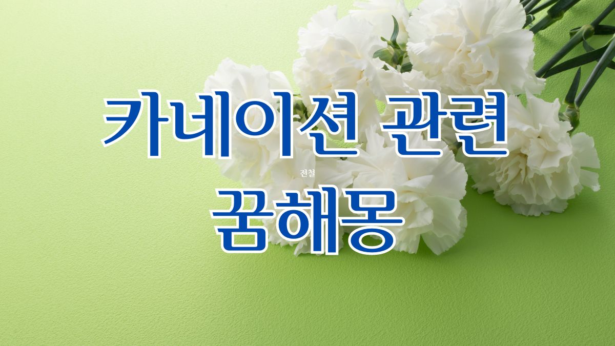 카네이션 관련 꿈해몽