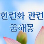 한련화 관련 꿈해몽