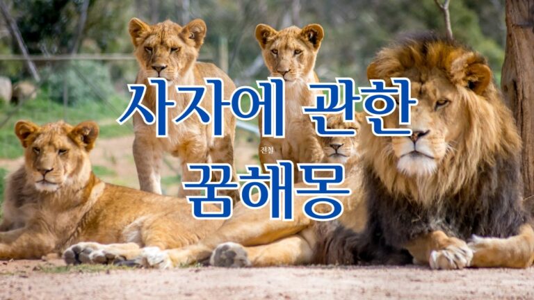 사자에 관한 꿈해몽